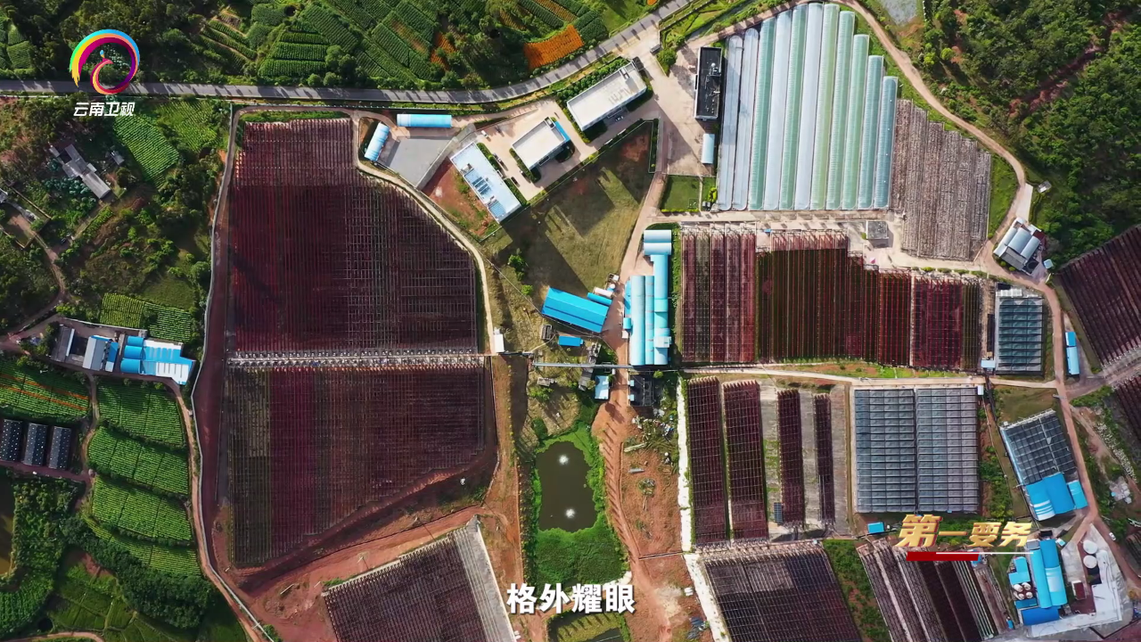 探寻自然1.png