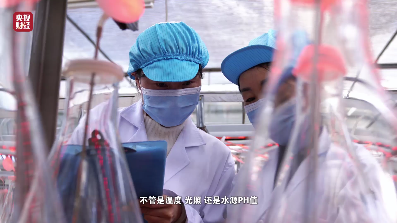 探寻自然2.png