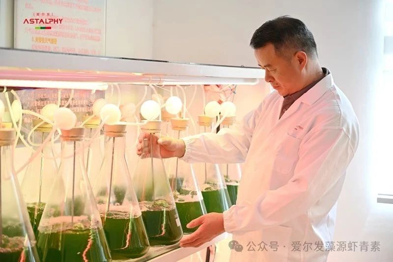 微信图片_2025-08-15_101346_778.jpg