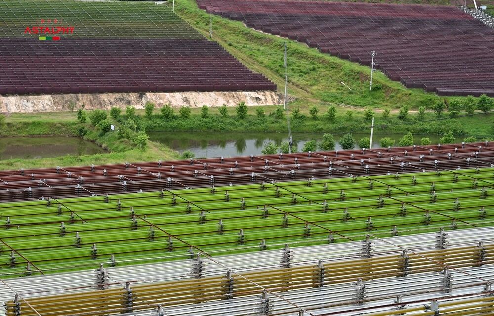 1761701442264344.jpg 02155.jpg