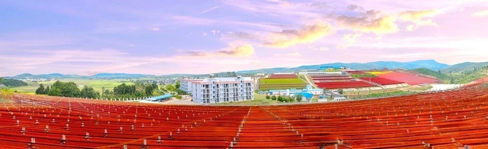 1762135268138768.jpg 微信图片_2025-11-03_095626_426.jpg