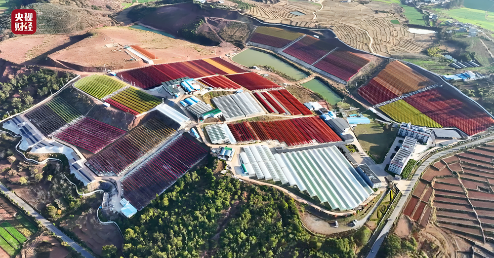 1762311334281341.png 01234.png