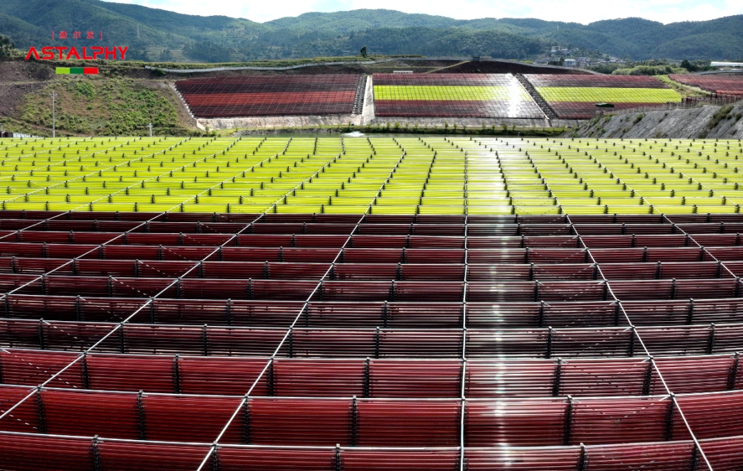 1766022854211243.jpg 微信图片_2025-12-18_094521_971.jpg