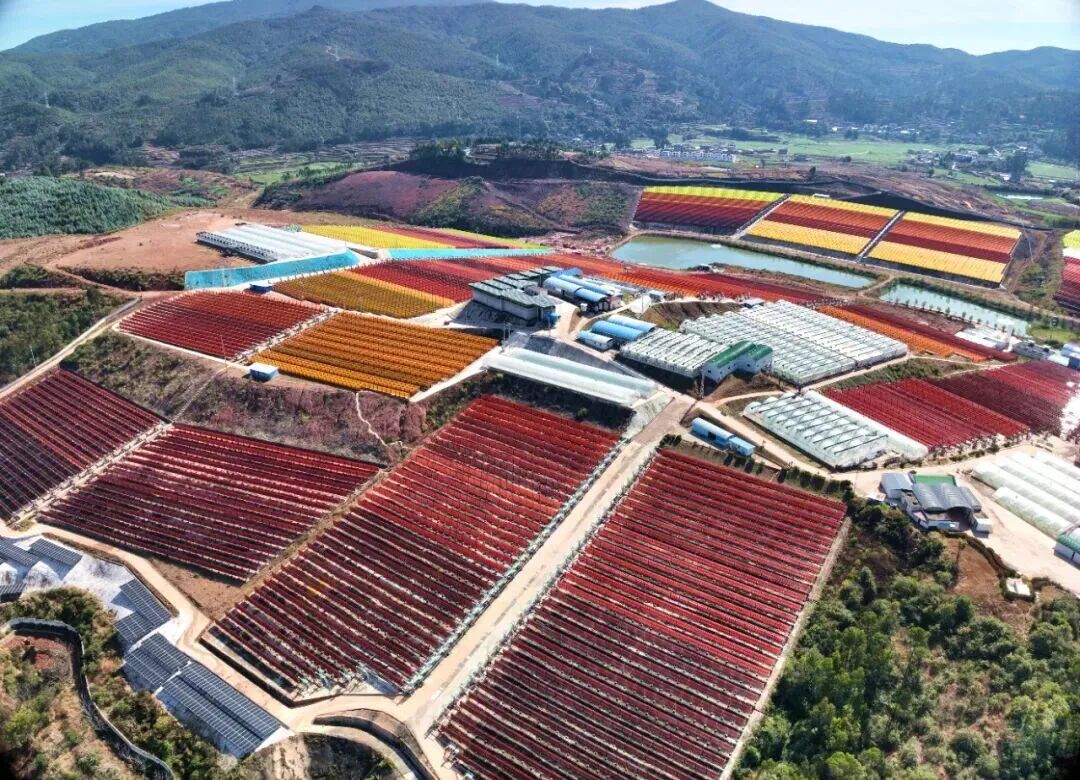 1768182040359100.jpg 122.jpg