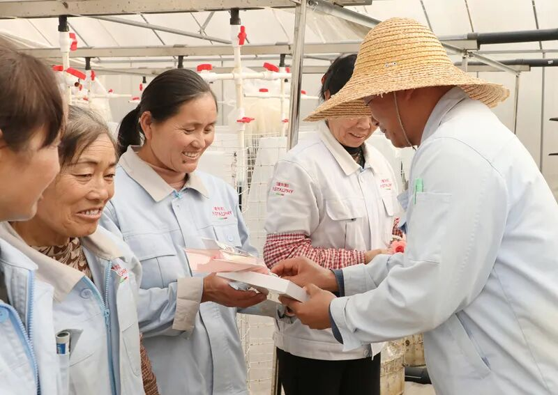 1773024860109343.png 图片2.png