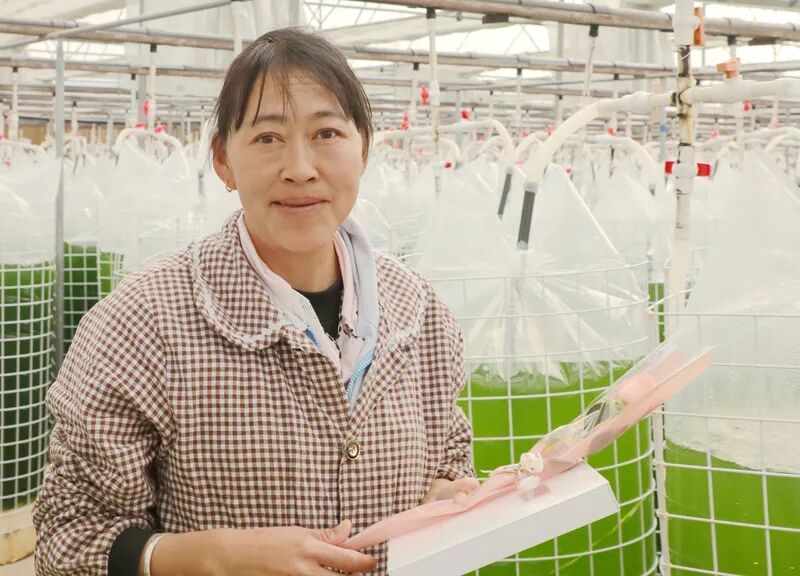 1773025067196181.png 图片7.png