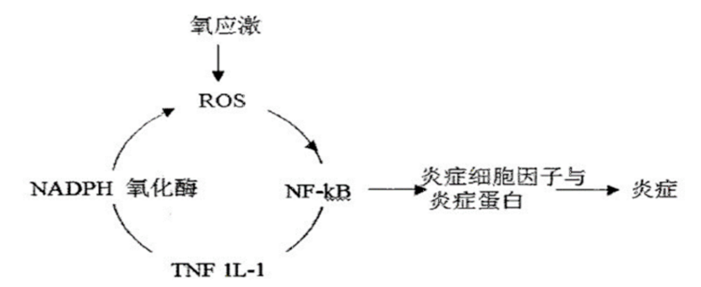 37f361184220bb6ac9cc63a1d08c5cd4.png