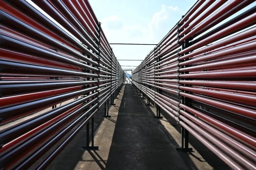 虾青素：把自然的修护力吃进生活