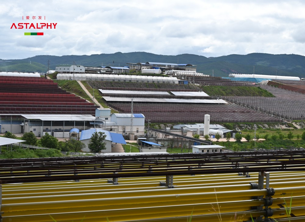 口服虾青素的功效与作用