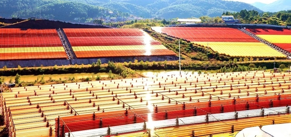 爱尔发虾青素，让健康触手可及！