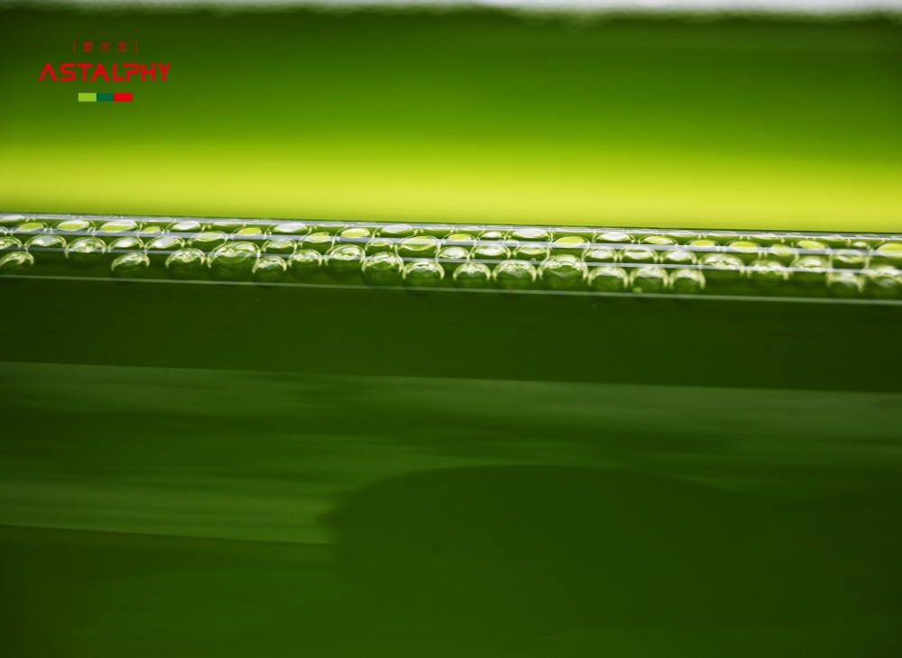 很多人都理解错了！虾青素的核心价值 根本不是对抗衰老！