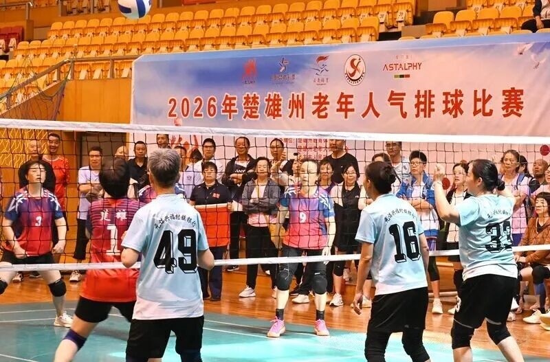 银龄气排展英姿 | 爱尔发虾青素燃情助力2026年楚雄州老年人气排球赛