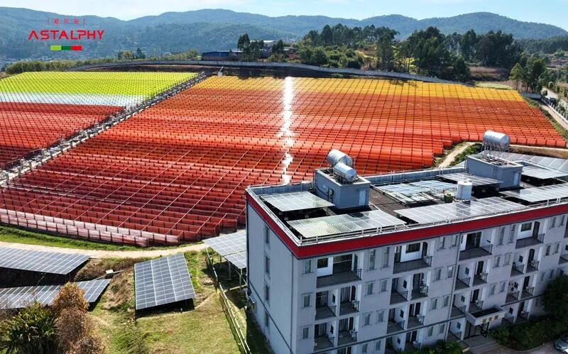 虾青素的生理功能差异及抗 紫外线损伤研究